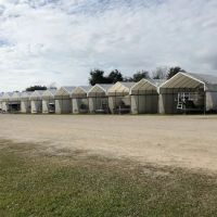 Bay Marina & RV Park ico