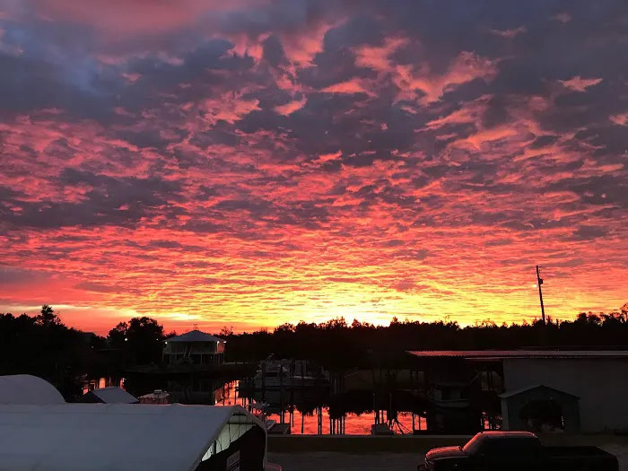 Bay Marina & RV Park Picture 4