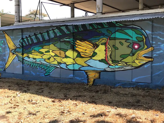 Bay Marina & RV Park Picture 10