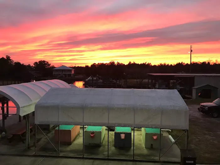 Bay Marina & RV Park Picture 3