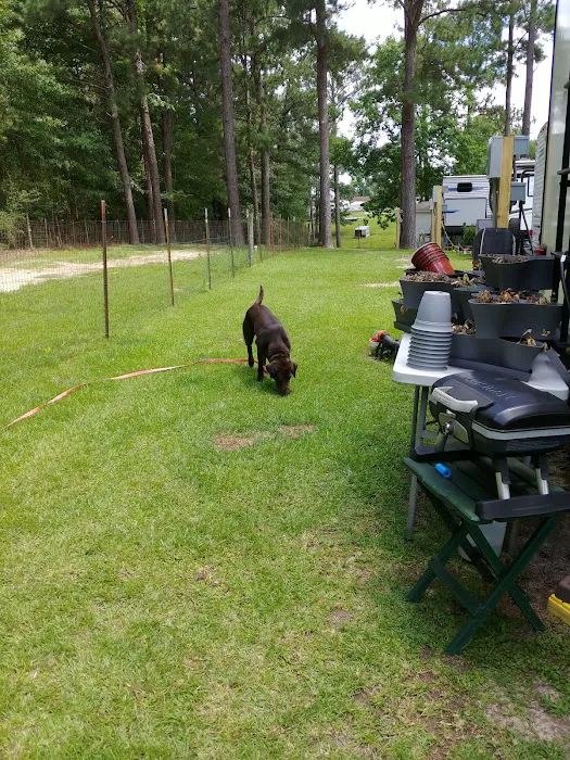 Eagle Nest RV Park Picture 5