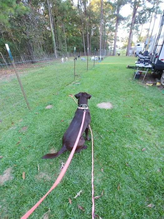 Eagle Nest RV Park Picture 7