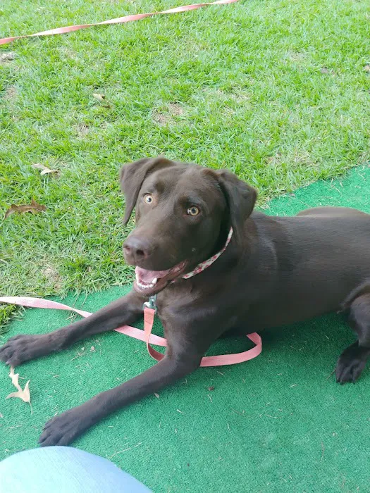 Eagle Nest RV Park Picture 2