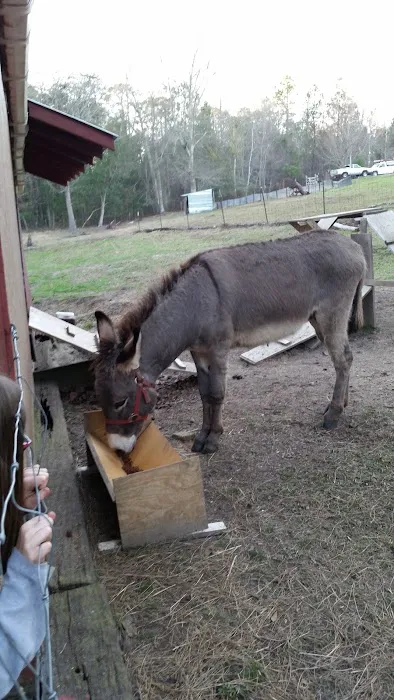 Eagle Nest RV Park Picture 8