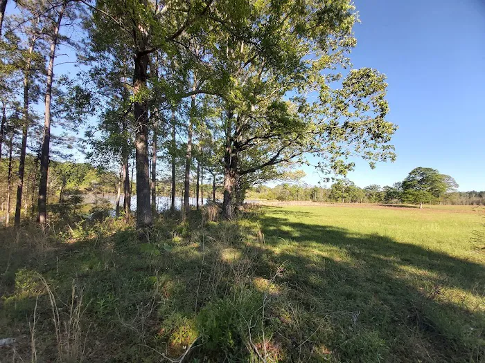 Haas-Cienda Ranch RV Park Picture 8