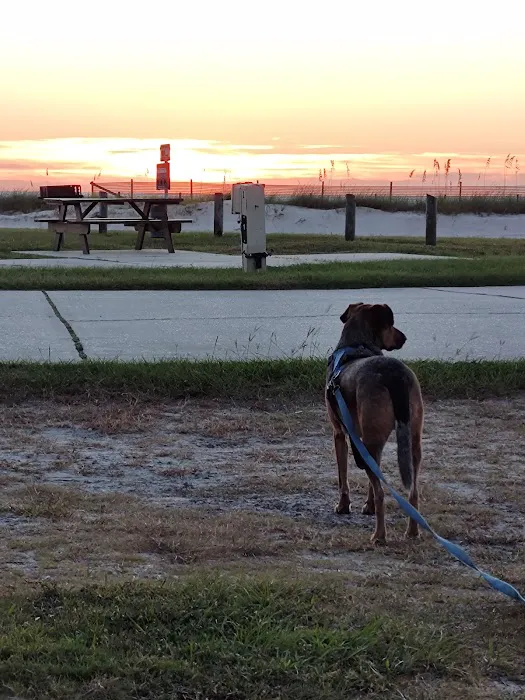 Silver Slipper Casino Beachfront RV Park Picture 8