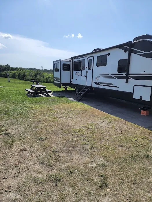 Silver Slipper Casino Beachfront RV Park Picture 6