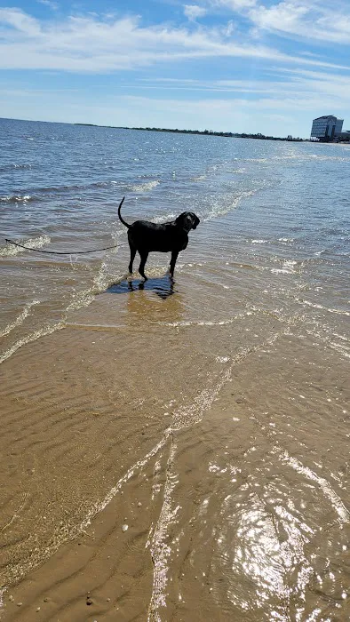 Silver Slipper Casino Beachfront RV Park Picture 4