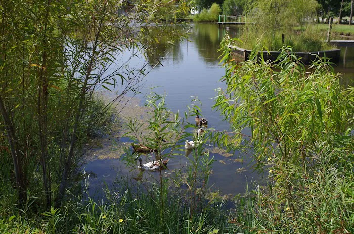 Shady Acres RV Community (Bay Saint Louis, Mississippi) Picture 3