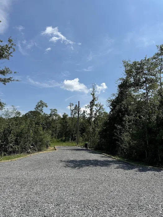 Evergreen RV Park Picture 4