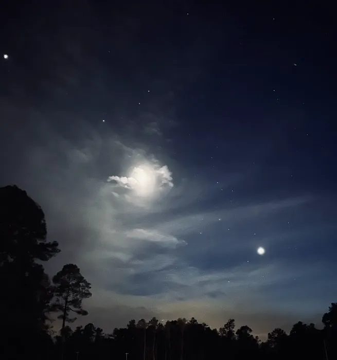 Mike's Place RV Park Picture 9