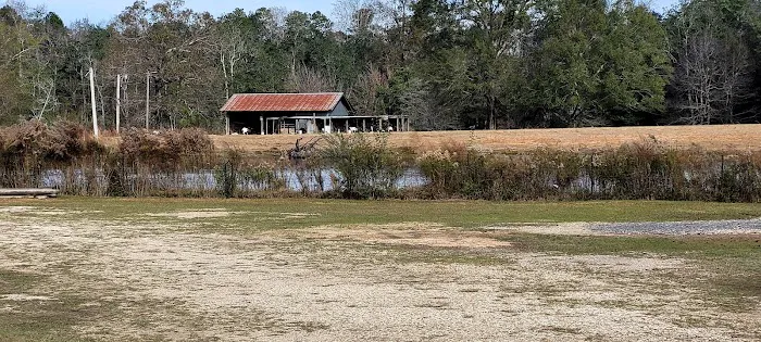 Mike's Place RV Park Picture 2