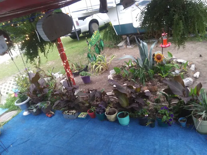 Alex's RV Park Picture 6