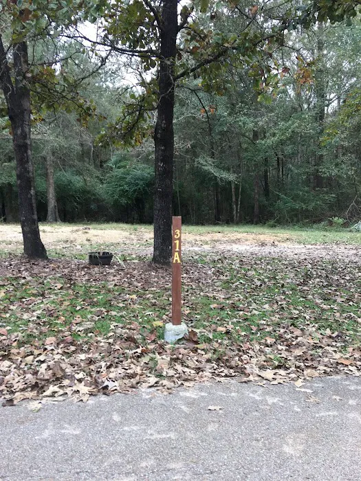 Wagon Wheel Hotel and RV Park Picture 2