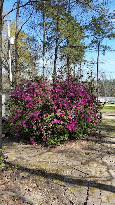 Shady Cove RV Park Picture 7