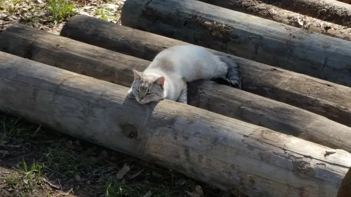 Shady Cove RV Park Picture 3