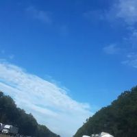 Messer's Mobile Manor Inc. ico