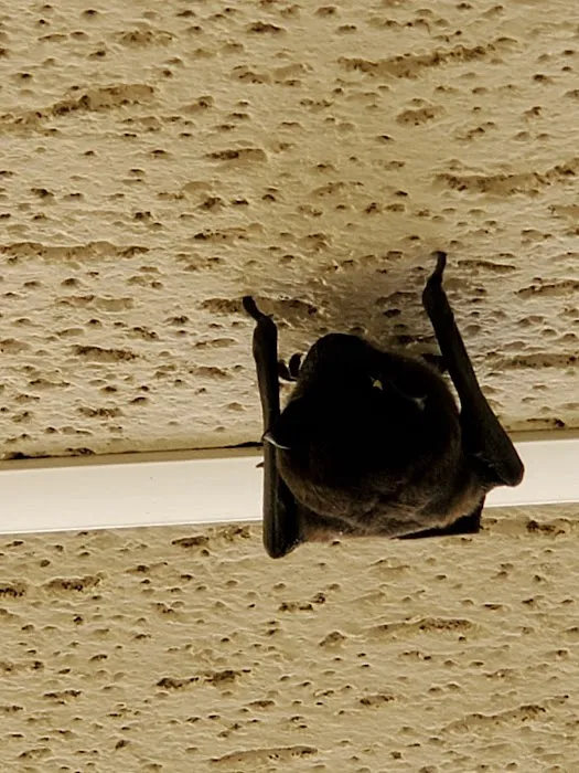 Willa Villa Mobile Home & RV Park Picture 1