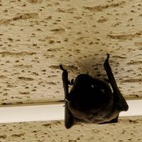 Willa Villa Mobile Home & RV Park ico