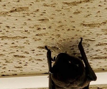 Willa Villa Mobile Home & RV Park