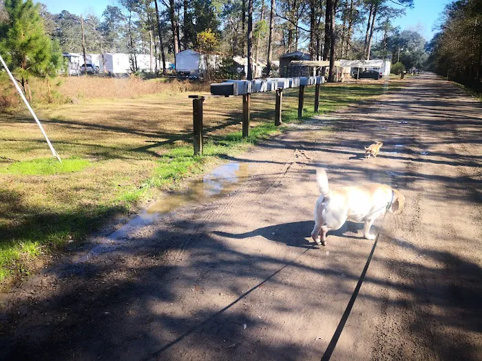 Tammany Mobile Home Park Picture 8
