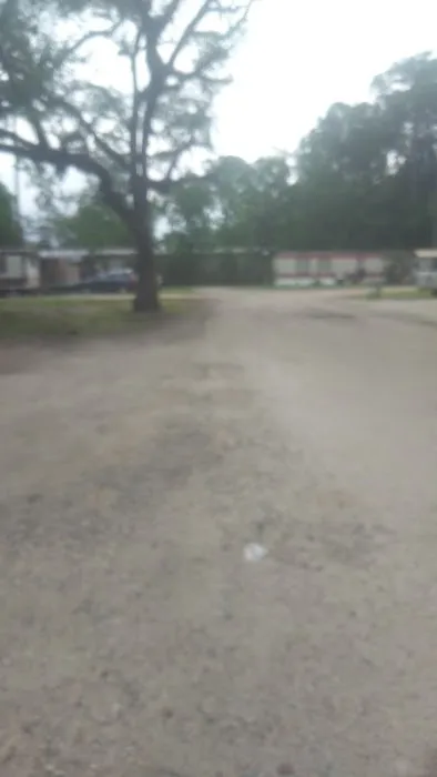 Shady Pines Mobile Home Park Picture 3
