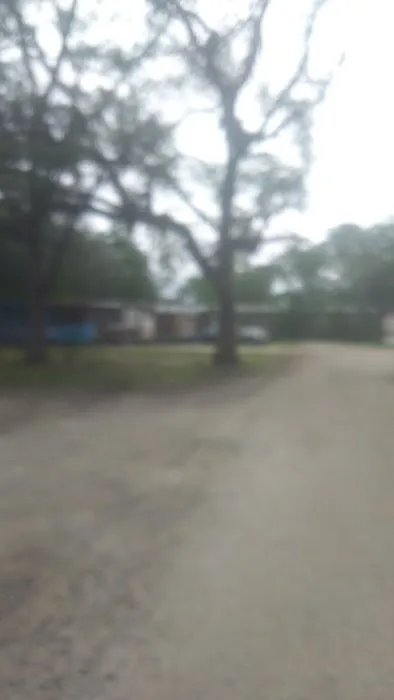 Shady Pines Mobile Home Park Picture 1