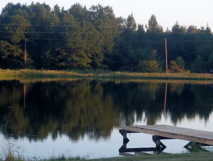 Go Fish RV Park Picture 7