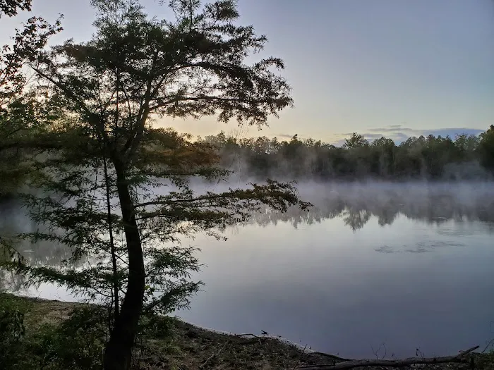 Bottomland RV Area Picture 6