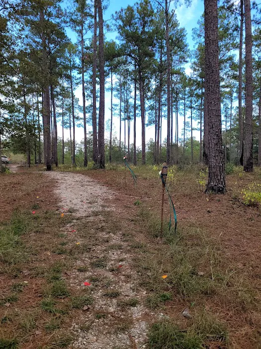 Bottomland RV Area Picture 7