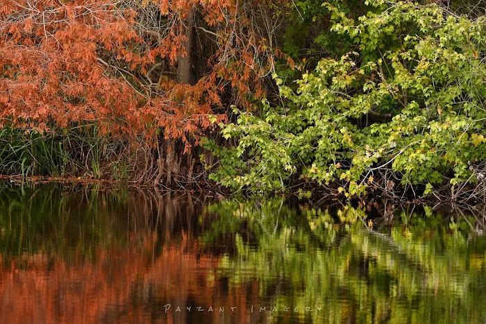 Bottomland RV Area Picture 3