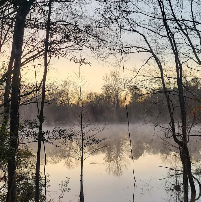 Bottomland RV Area Picture 5