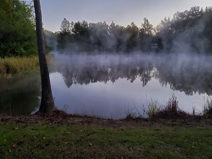 Bottomland RV Area Picture 9