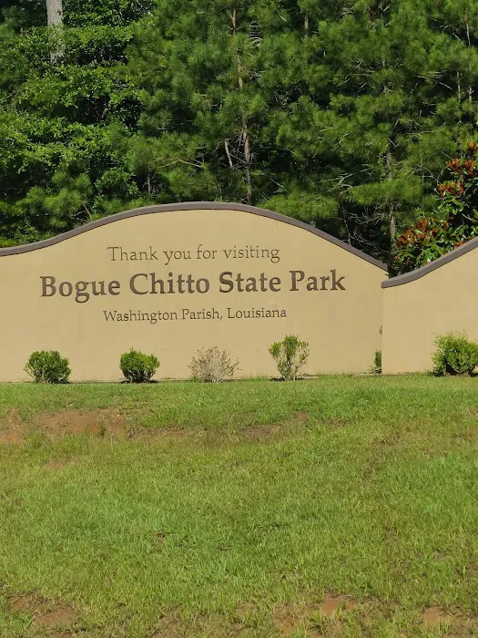 Upland RV Area Picture 7