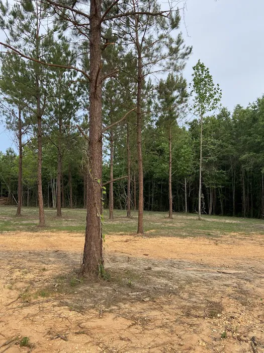 Hidden Ridge RV Park Picture 9