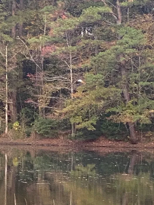 Bay Springs RV Park Picture 7