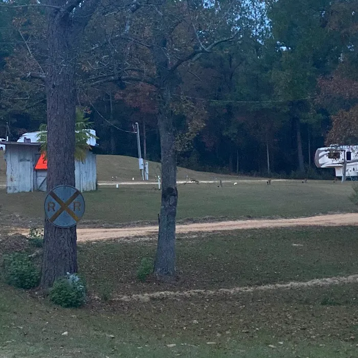 Bay Springs RV Park Picture 10