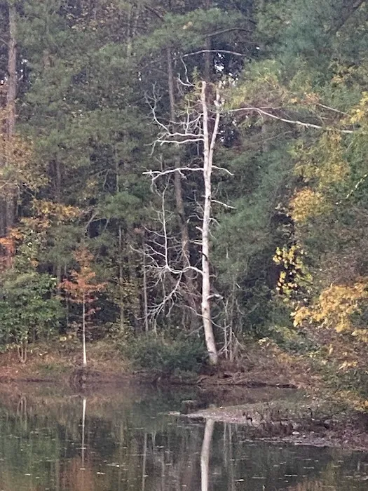 Bay Springs RV Park Picture 6