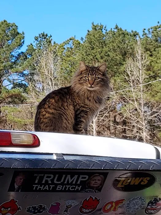 Bay Springs RV Park Picture 4