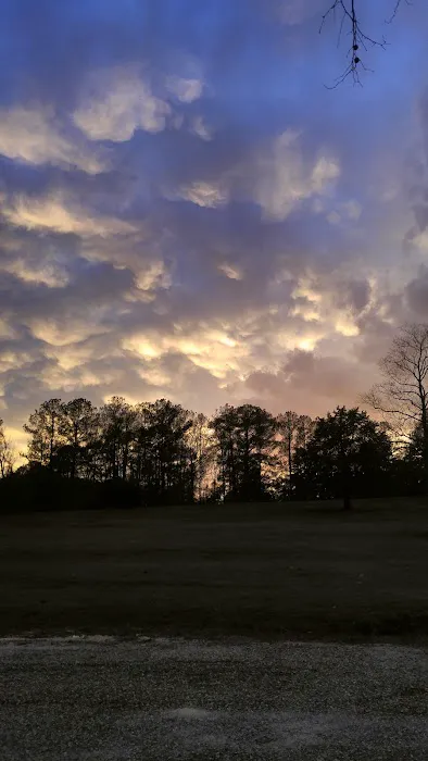 Bay Springs RV Park Picture 3