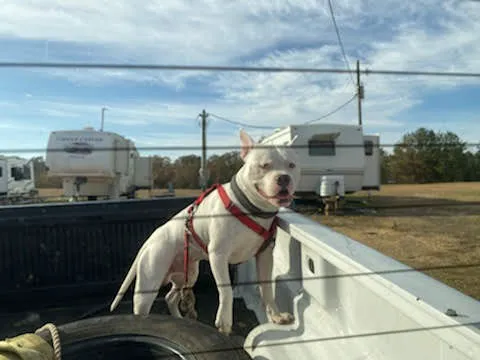 Sunny South RV Park Picture 2