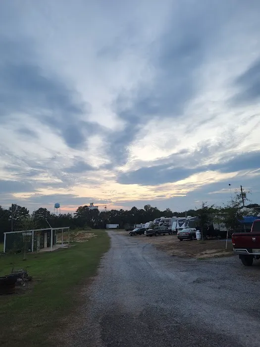 Sunny South RV Park Picture 7