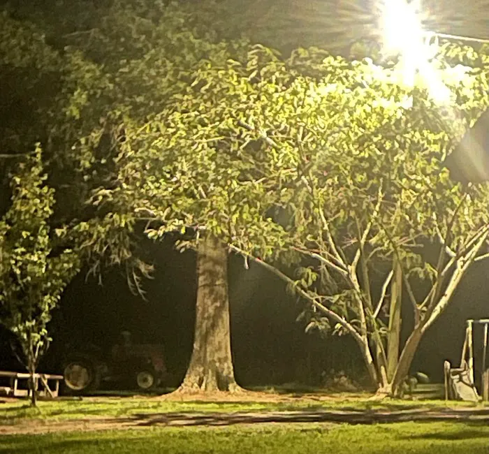 Back Home RV Park Monticello, MS Picture 5