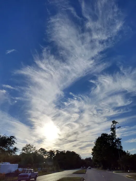 Sun Outdoors New Orleans North Shore Picture 5