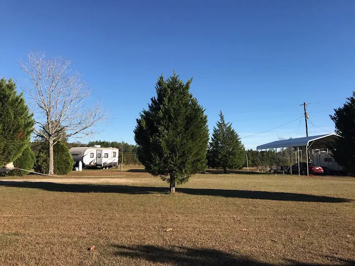 Green Terrace Picture 1