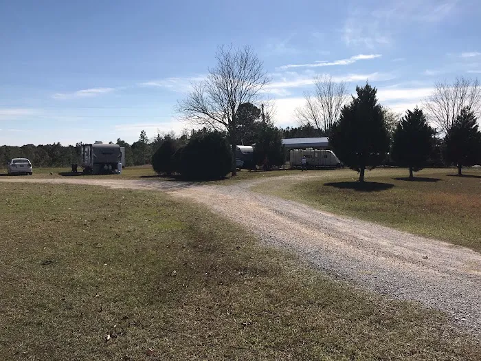 Green Terrace Picture 7