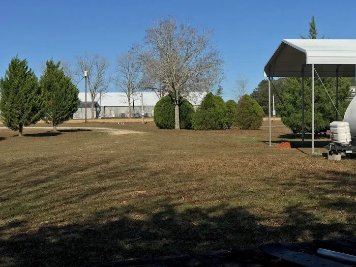 Green Terrace Picture 6