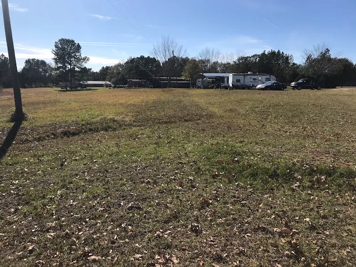 Green Terrace Picture 8