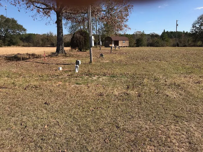 Green Terrace Picture 5