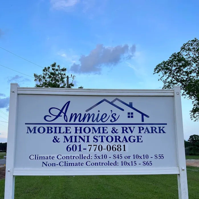 Ammie's Mobile Home ,RV Park & Mini Storage Picture 7